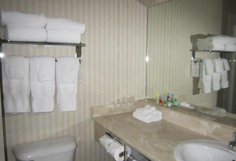 غرفة قياسية, Pomeroy Inn And Suites Dawson Creek