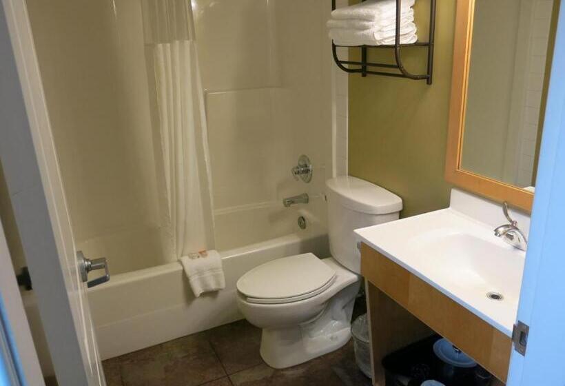 Номер Стандарт 2 Двуспальные Кровати, Vedder River Inn