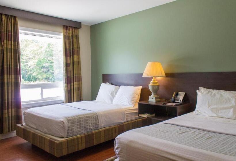 غرفه قياسيه سريرين مزدوجين, Leelas Villa Inn Flesherton