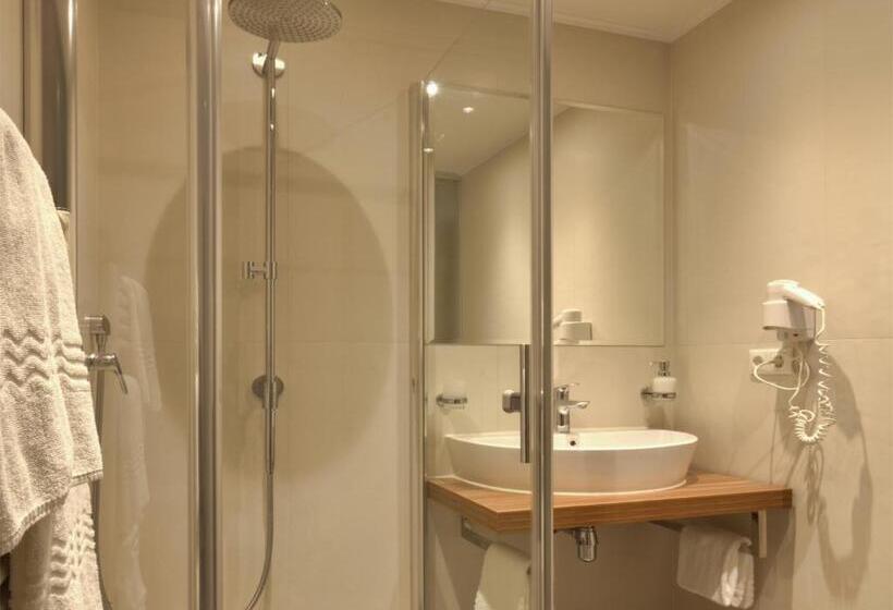 اتاق استاندارد یک نفره, Wohlfühlhotel Goiserer Mühle