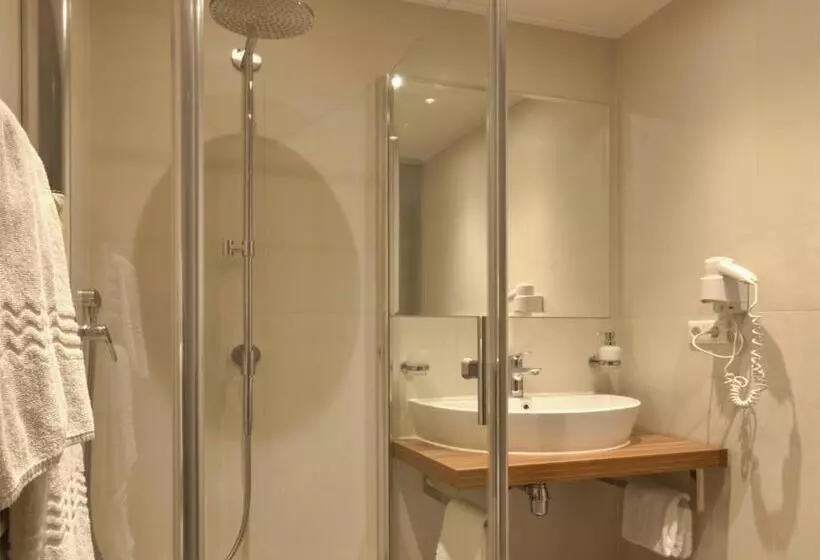 スタンダードシングルルーム, Wohlfühlhotel Goiserer Mühle