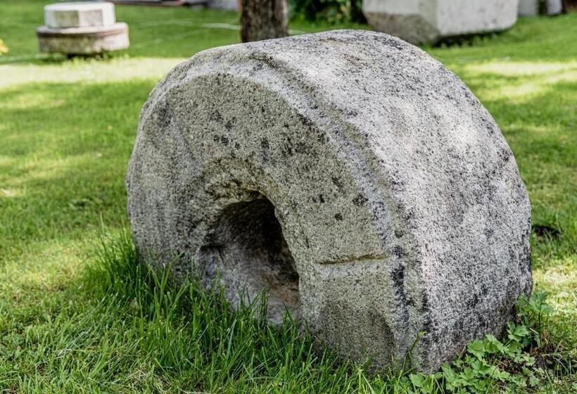 이코노미 룸, Wohlfühlhotel Goiserer Mühle