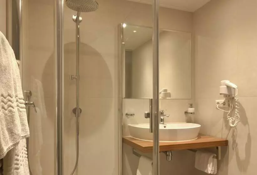スタンダードシングルルーム, Wohlfühlhotel Goiserer Mühle