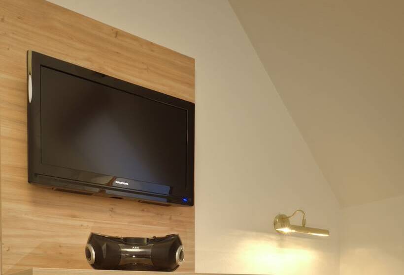 스탠다드 싱글 룸, Wohlfühlhotel Goiserer Mühle