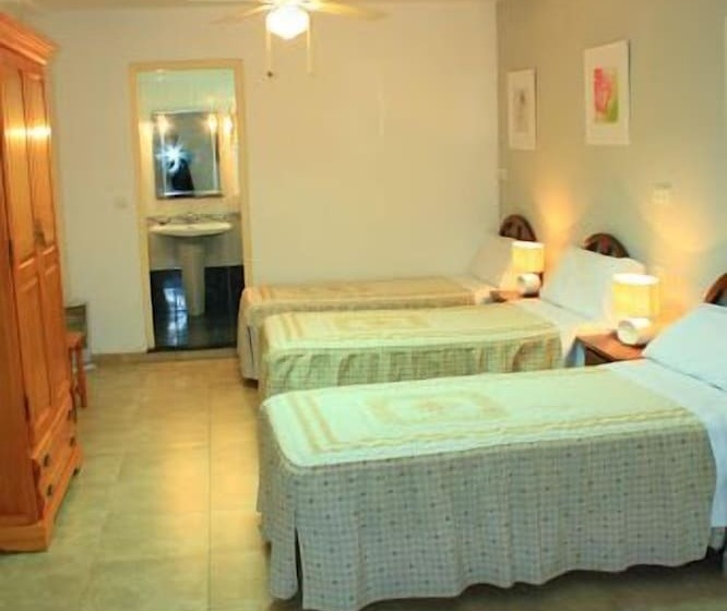 スタンダード4人部屋, Toril