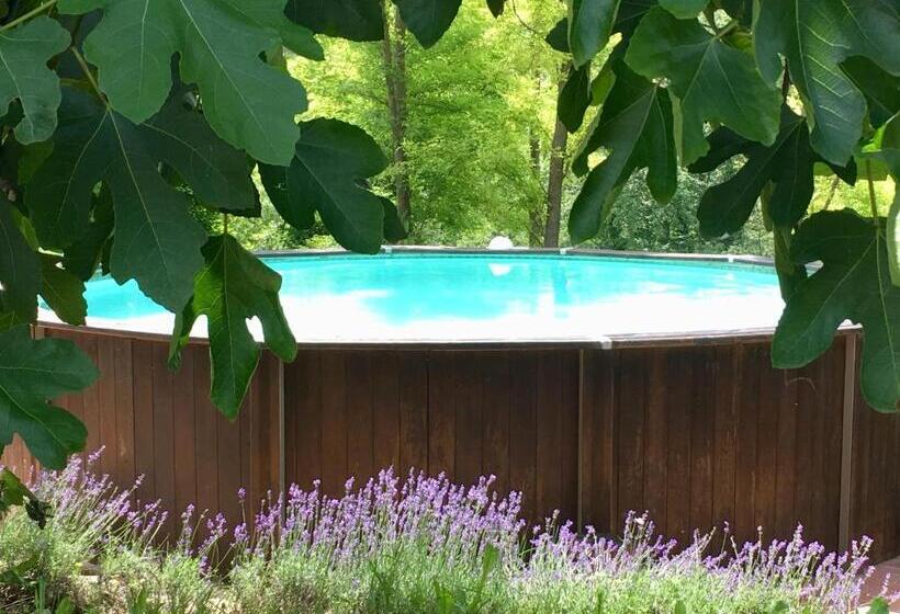 آپارتمان 1 خوابه با چشم‌انداز باغ, Il Nascondiglio   The Hideaway