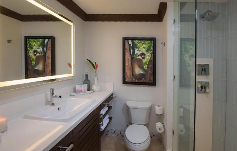 اتاق پرمیوم, Sandals Barbados All Inclusive Couples Only