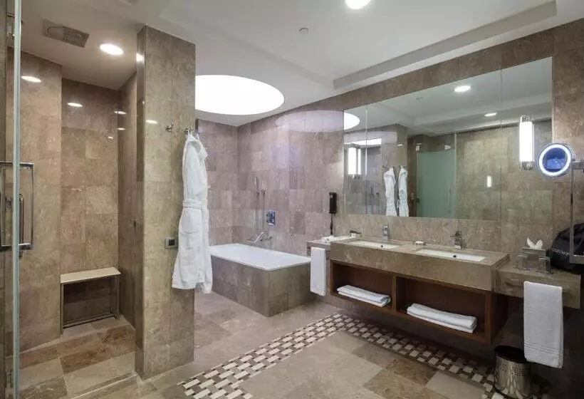 デラックスルーム, Sheraton Bursa