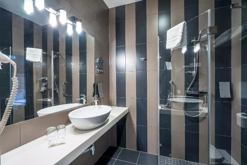 اتاق استاندارد, Wellton Centrum Hotel & Spa