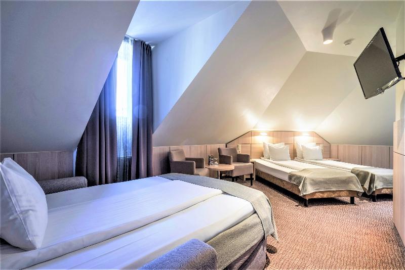 اتاق استاندارد سه نفره, Wellton Centrum Hotel & Spa