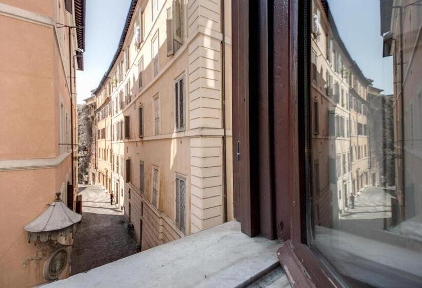 חדר סטנדרט, Nova Domizia