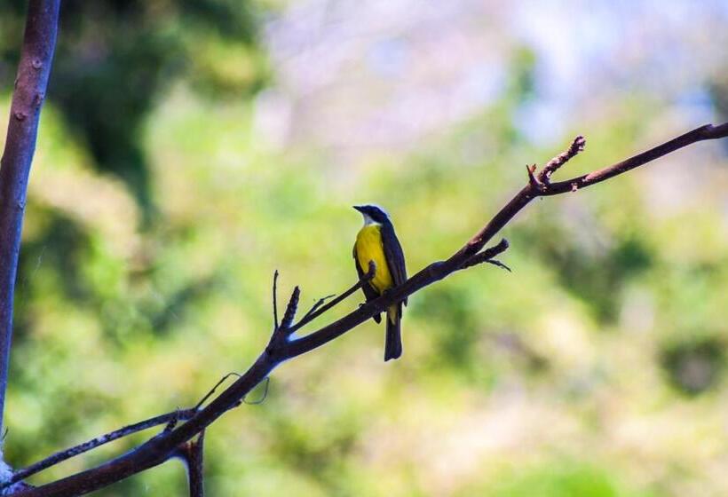 سوییت جونیور, Bolontiku Boutique Hotel & Spa