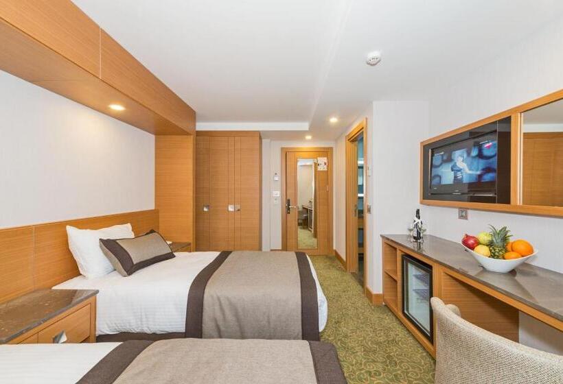 シングルベーシックルーム, Bisetun