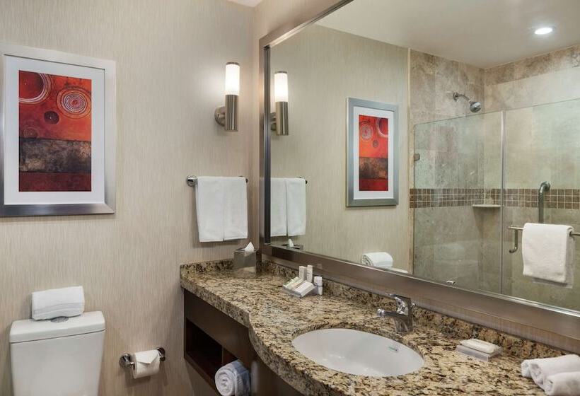 Номер Стандарт 2 Двуспальные Кровати, Hilton Garden Inn Queretaro