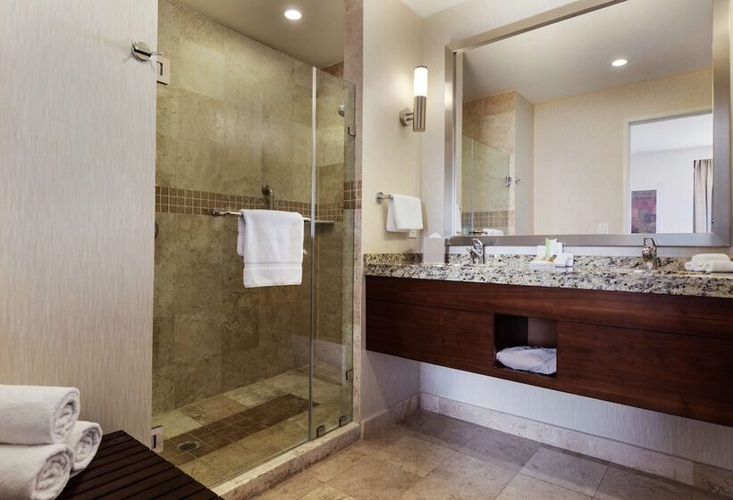 Люкс, Hilton Garden Inn Queretaro