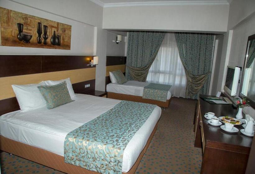 Camera Standard, Mom