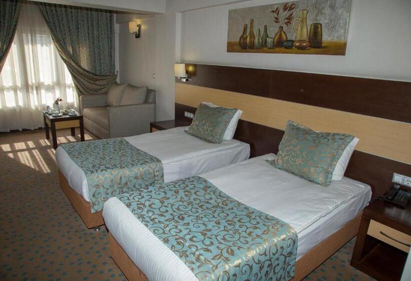 Camera Standard, Mom