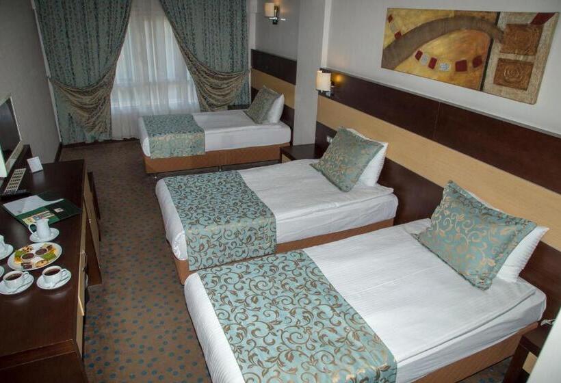 Camera Tripla Standard, Mom