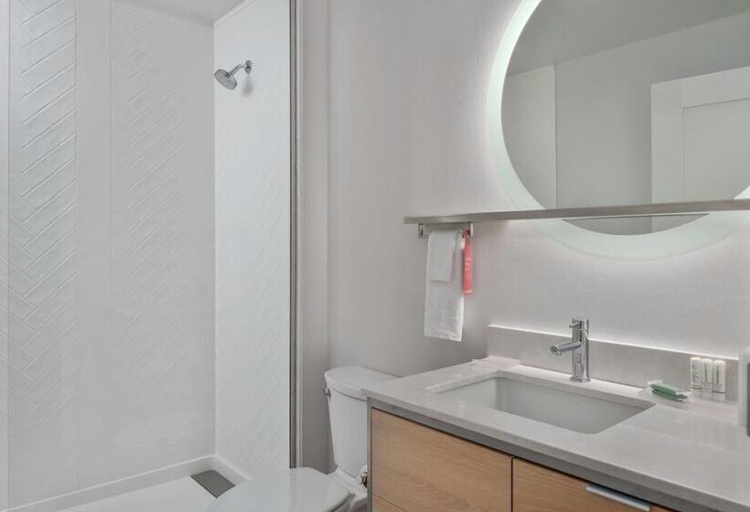 Люкс, Towneplace Suites By Marriott San Antonio Universal City, Live Oak