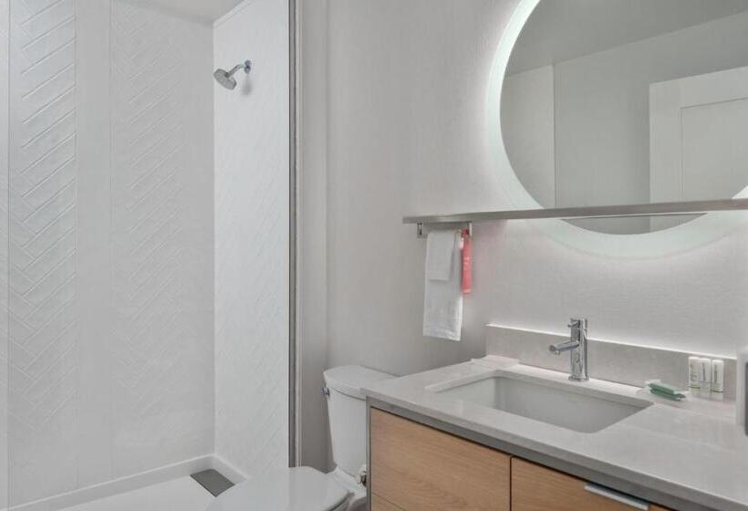 Студио Стандарт Кровать Кинг, Towneplace Suites By Marriott San Antonio Universal City, Live Oak