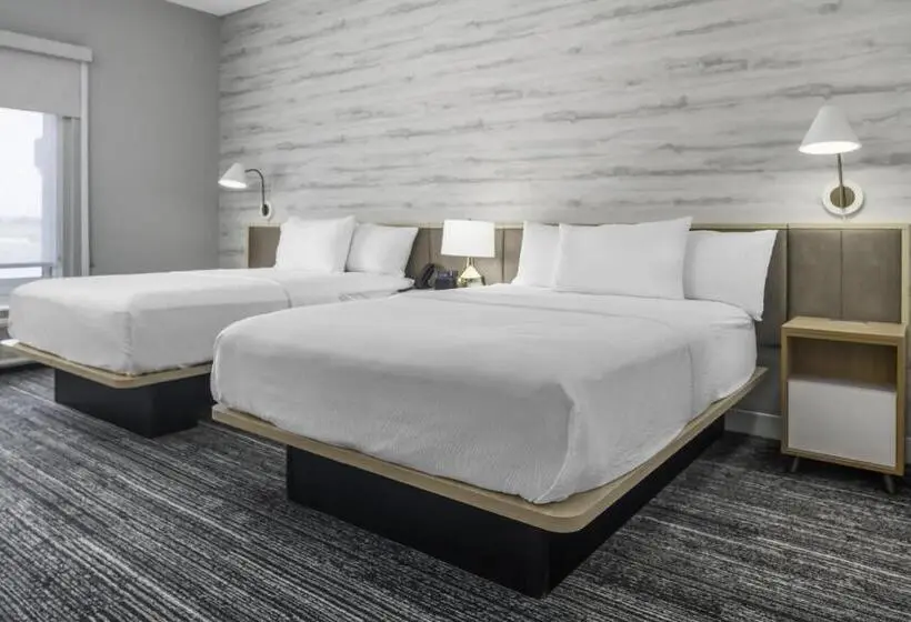 スタンダードスタジオ, Towneplace Suites By Marriott San Antonio Universal City, Live Oak