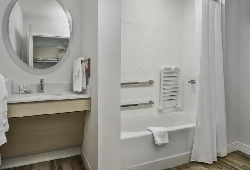 クイーンベッドのスタンダードスタジオ, Towneplace Suites By Marriott San Antonio Universal City, Live Oak