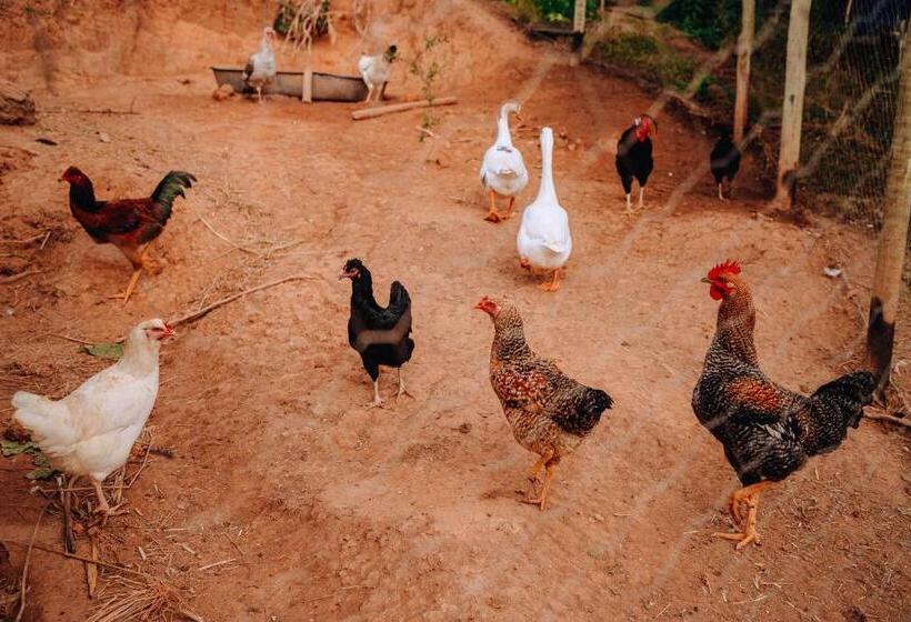 패밀리 룸, Pousada & Camping Recanto Dos Anjos Azuis