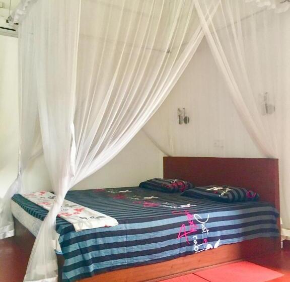 חדר סטנדרט, Vivid Lanka