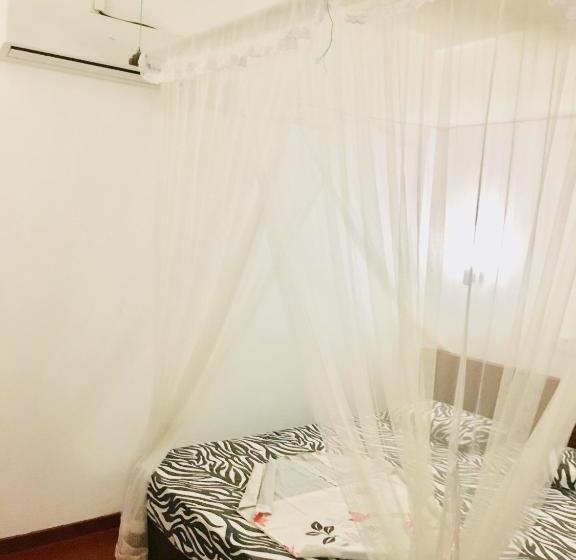 חדר סטנדרט, Vivid Lanka