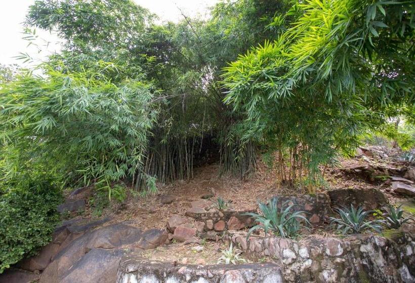 Вилла 1 Спальня Вид на Сад, Avanti Retreat Farm Stay