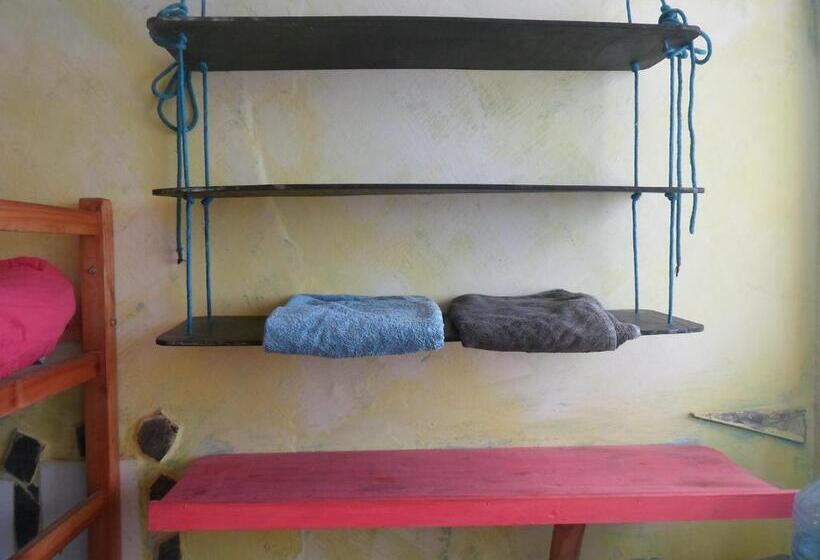 标准工作室, Estudio