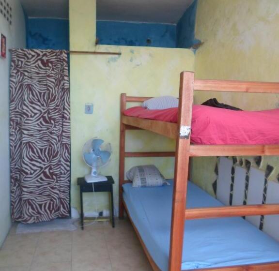 标准工作室, Estudio