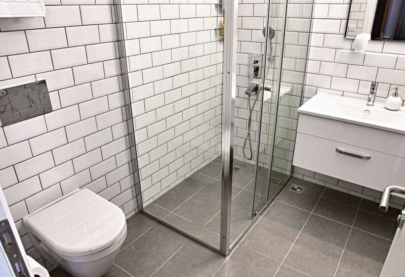 استودیوی استاندارد, Apartman Istanbul