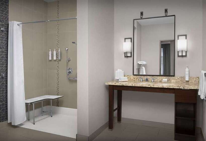 اتاق استاندارد, Embassy Suites By Hilton Knoxville West