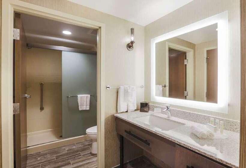 اتاق استاندارد, Embassy Suites By Hilton Knoxville West