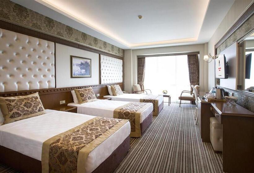 اتاق استاندارد سه نفره, Grand Altuntas