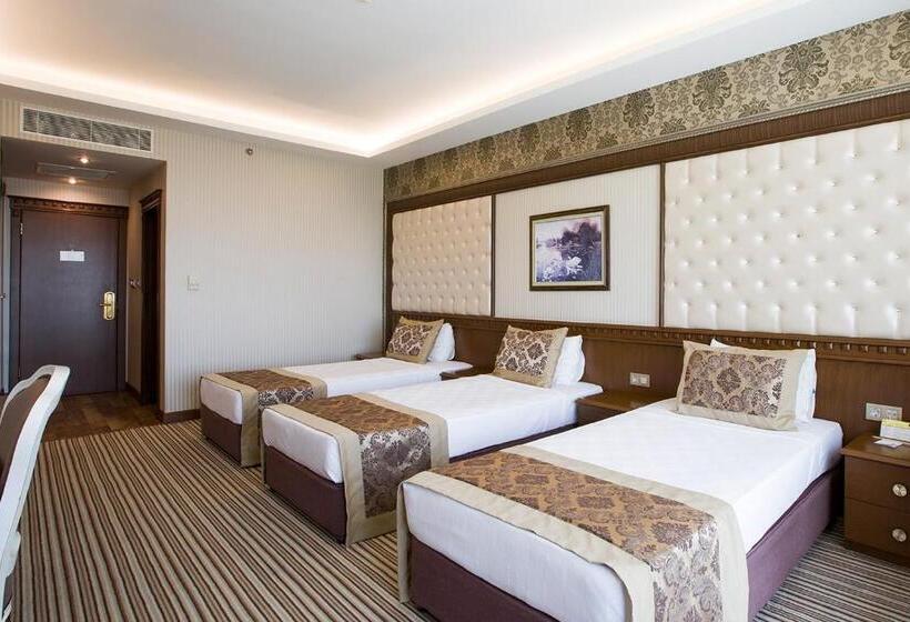 اتاق استاندارد سه نفره, Grand Altuntas