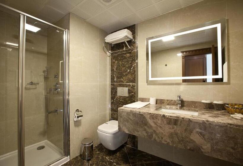 اتاق استاندارد یک نفره, Grand Altuntas