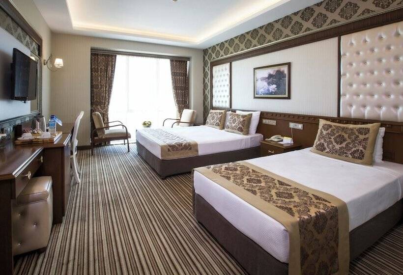 اتاق استاندارد سه نفره, Grand Altuntas