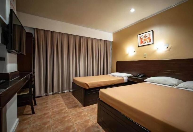 اتاق استاندارد سه تخته با چشمانداز, Paladin