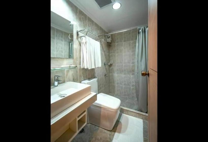 اتاق استاندارد چهار تخته, Paladin