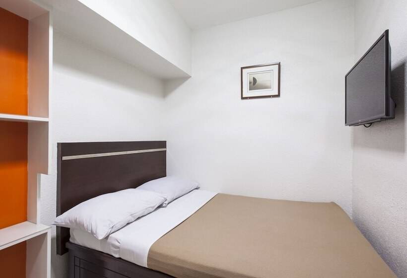 اتاق اکونومی, Paladin