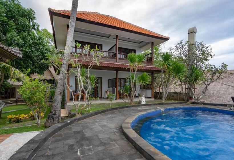 高级大房间, Mushroom Beach Bungalows