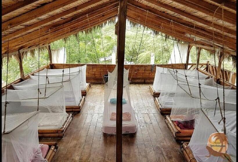 تختخواب در اتاق مشترک, Iguana Beach House