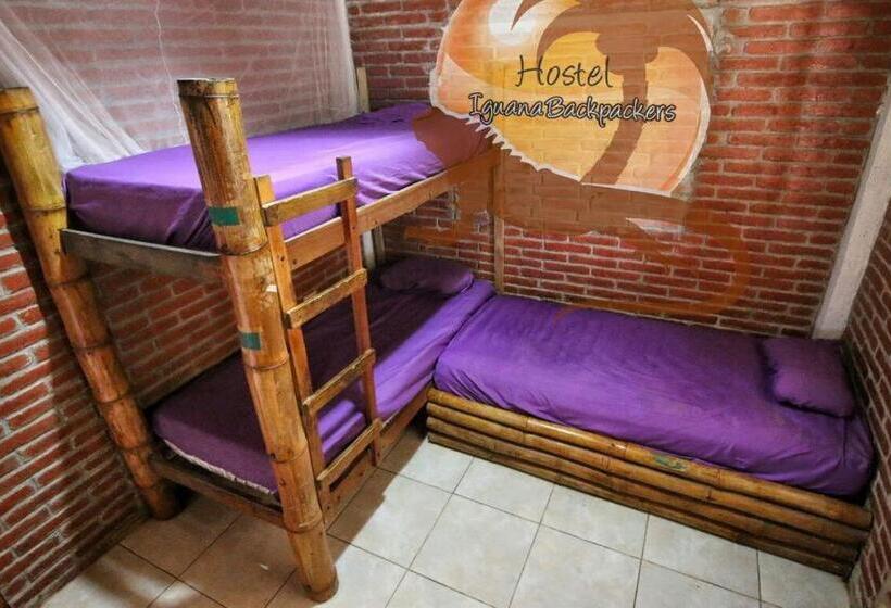 تختخواب در اتاق مشترک, Iguana Beach House