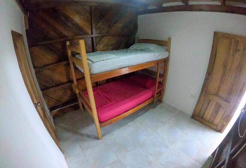 اتاق استاندارد با سرویس بهداشتی مشترک, Iguana Beach House