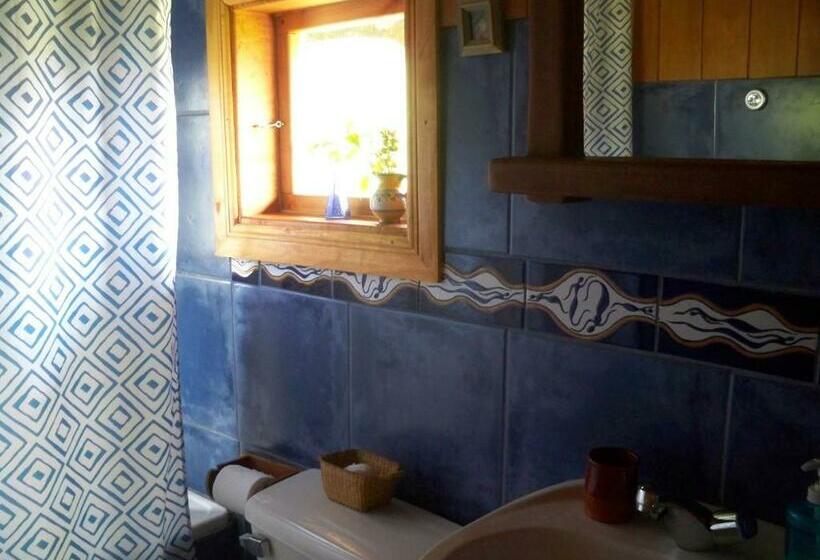 스탠다드 룸, Casaverde Hostal Ecologico