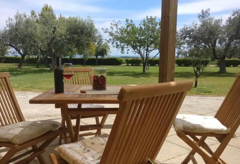 Triple Room Sea View, Punta Aderci Rooms