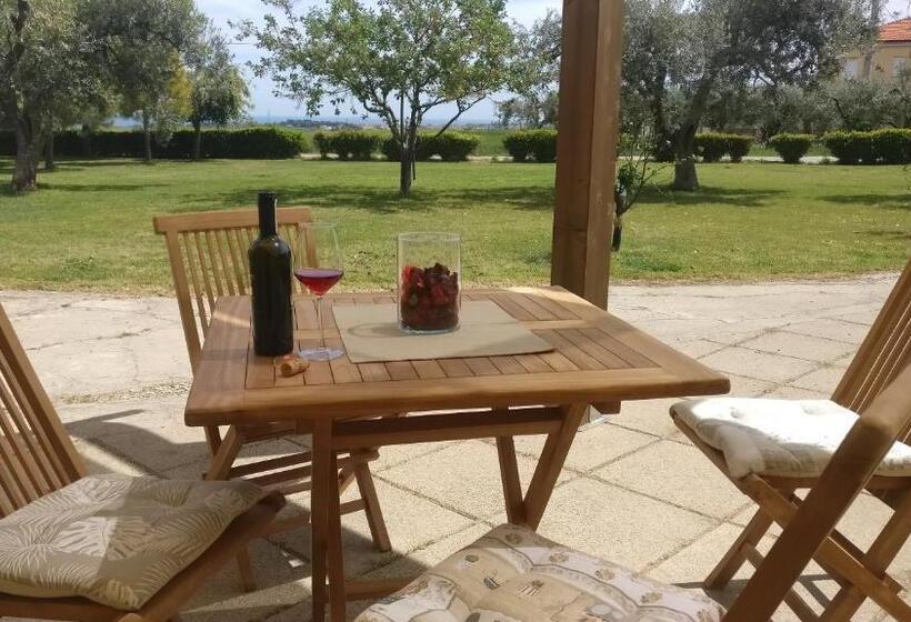 Triple Room Sea View, Punta Aderci Rooms