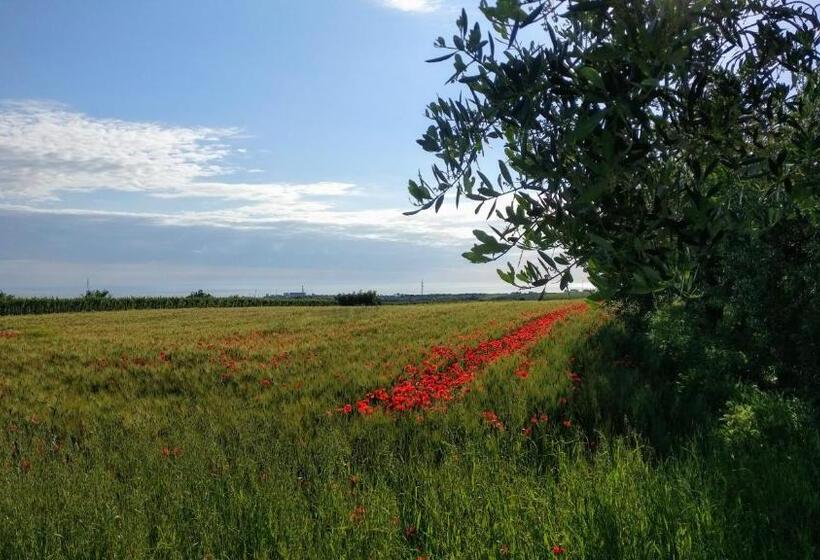 חדר סטנדרט לארבעה נוף לים, Punta Aderci Rooms